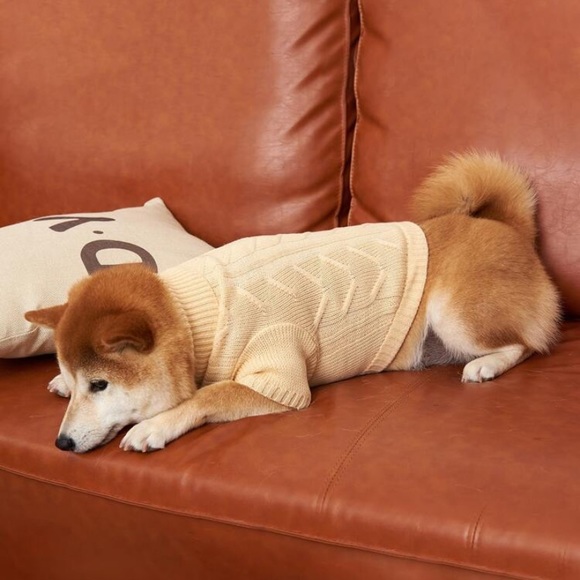 Other - Dog Sweater